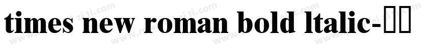 times new roman bold ltalic字体转换